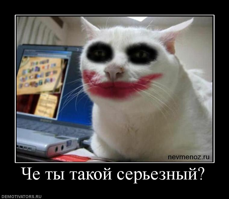 90634_che-tyi-takoj-sereznyij.jpg